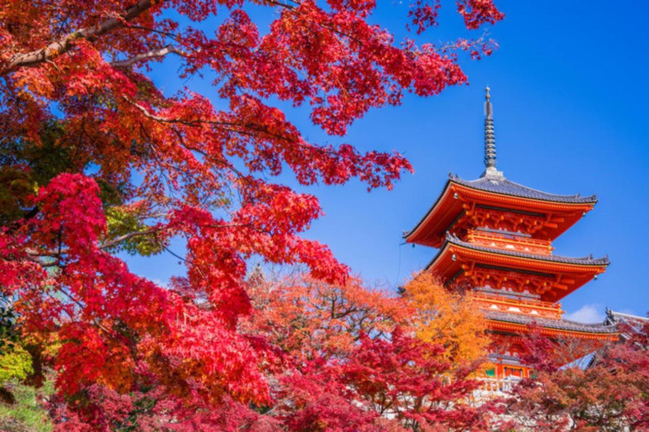 中川西 地下鉄今里駅一戸建 Samurai House Guest House Imazato 難波直通 最大7名 Osaka Ngoại thất bức ảnh