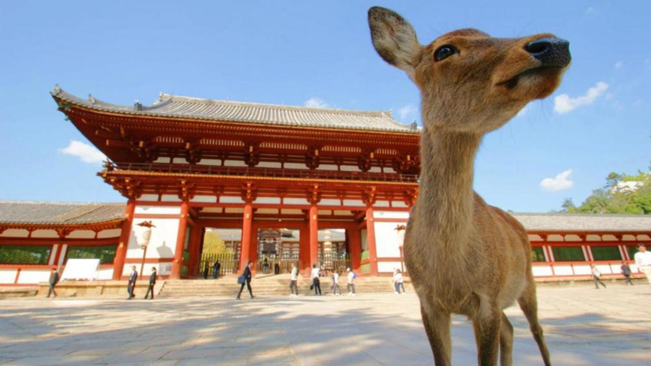 中川西 地下鉄今里駅一戸建 Samurai House Guest House Imazato 難波直通 最大7名 Osaka Ngoại thất bức ảnh